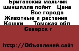 Британский мальчик шиншилла-пойнт › Цена ­ 5 000 - Все города Животные и растения » Кошки   . Томская обл.,Северск г.